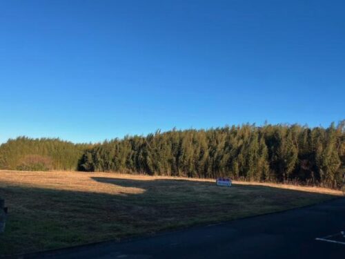 売地 豊橋市石巻町字馬場 4,730.46坪 工場・倉庫用地